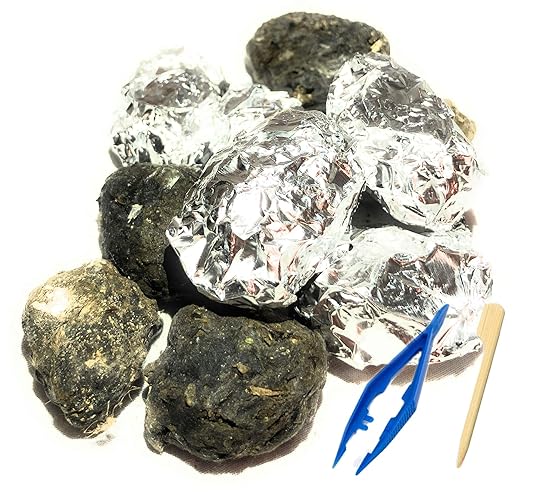 Premium Barn Owl Pellets, Small: 1.25"-1.5" (Pack of 5) - Free Bone ID Chart, 5 Forceps, 5 Paddle Picks, and Teaching Guide Included!