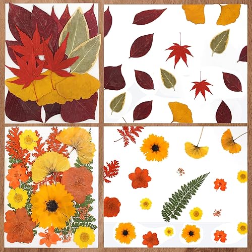 Miniatura 10 de CONVELIFE Flores prensadas, 40 piezas de flores naturales reales con pinzas, flores secas para resina, bricolaje, joyería, velas, jarrón,