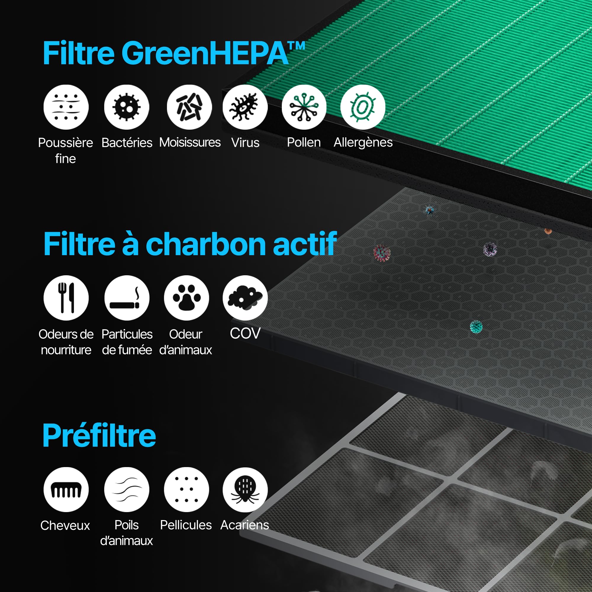 COWAY purificateur d’air maison chambre, air purifier, ECARF Quiet Mark, mode sommeil 20 dB, préfiltre lavable amovible par le haut, allergies fumée pollen animaux, Airmega 150, Vert