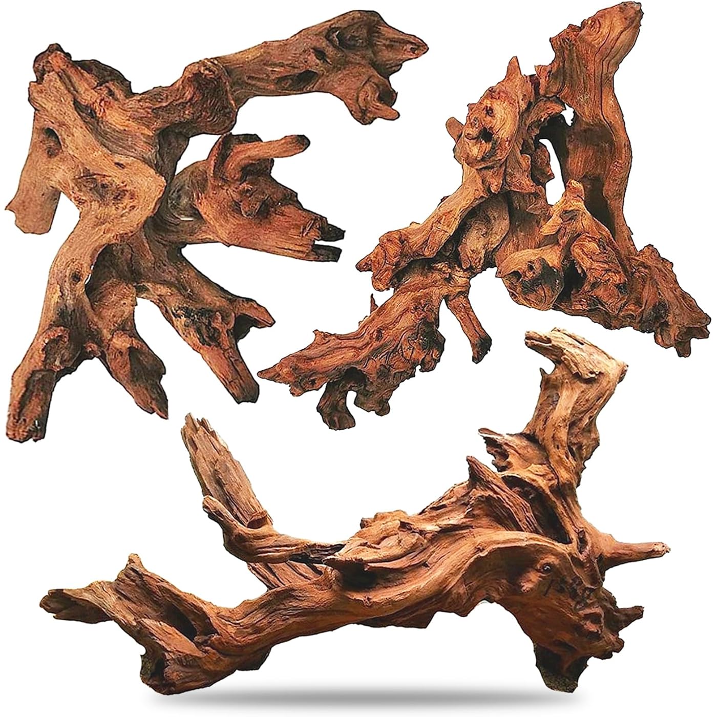 Gallery image 1