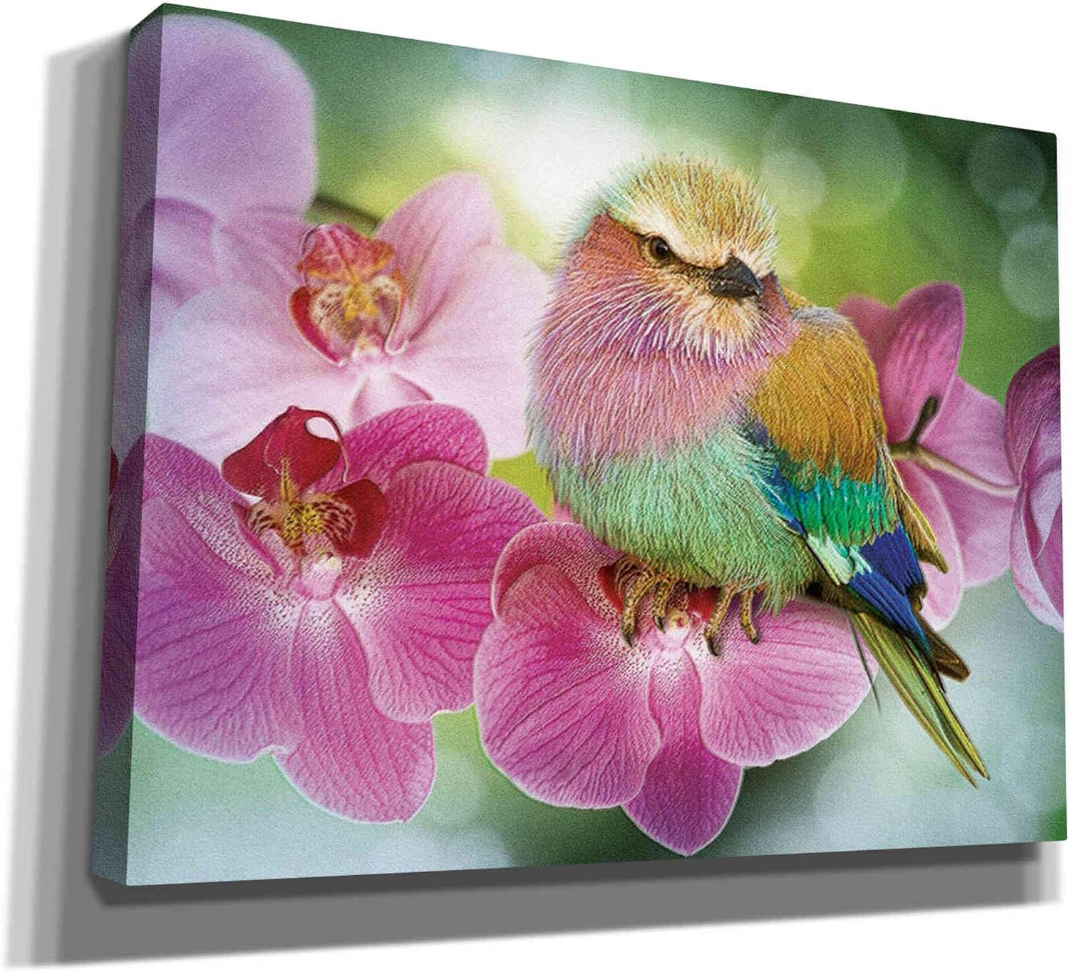 Epic Graffiti 'Pretty Boy' by Steve Hunziker, Canvas Wall Art, 16"x12"