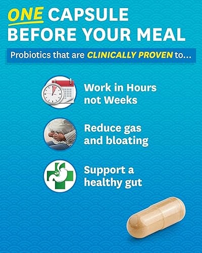 Miniatura 6 de Zenwise Digestive Enzymes Probióticos y Prebióticos - Alivio de la digestión y la hinchazón para mujeres y hombres absorción de lactosa con amilasa