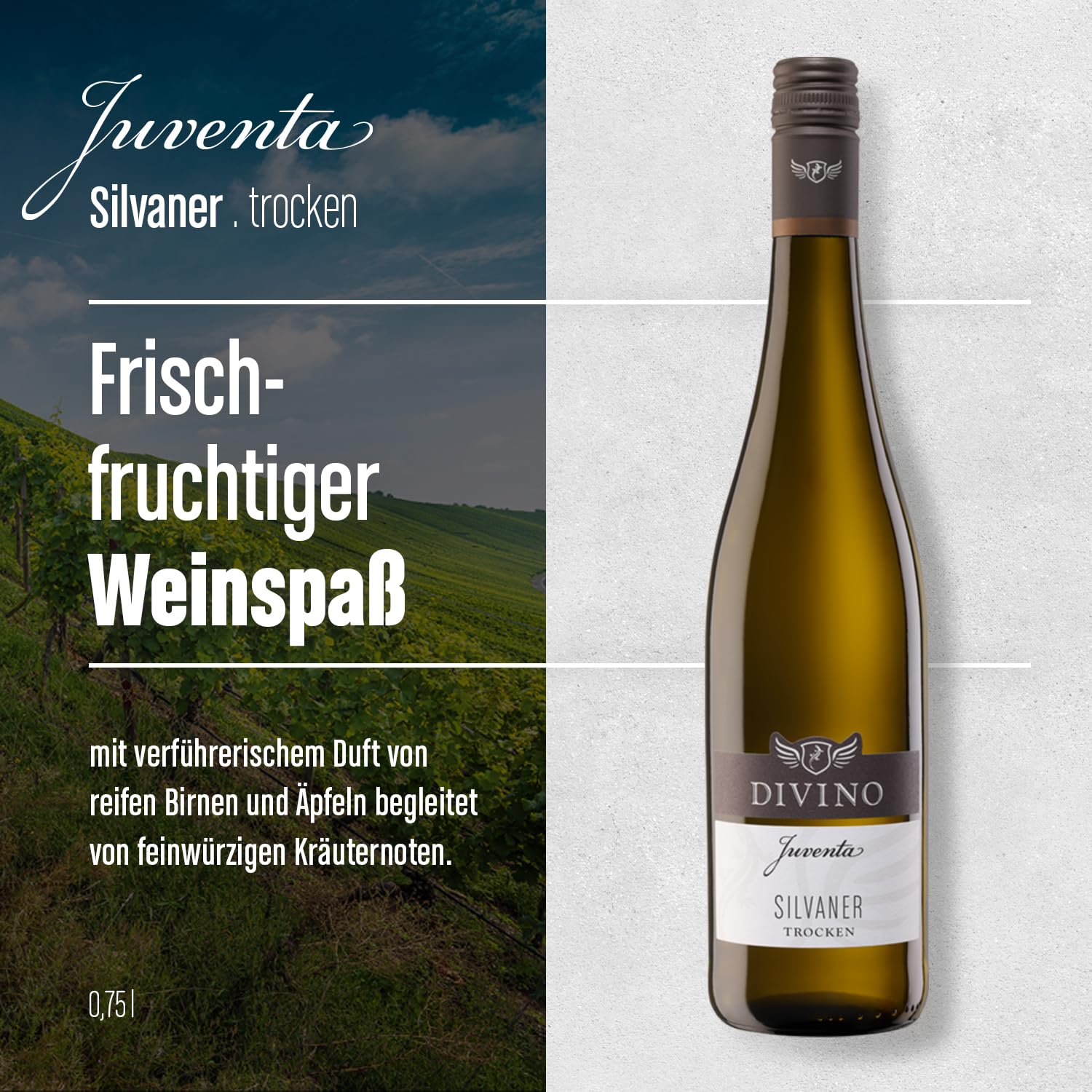 DIVINO Juventa Frankenwein Probierpaket - Silvaner, Grauer Burgunder, Scheurebe, Rotling, Merlot, Cuvée - Qualitätsweine direkt aus den Weinbergen Frankens (6 x 0,75l)