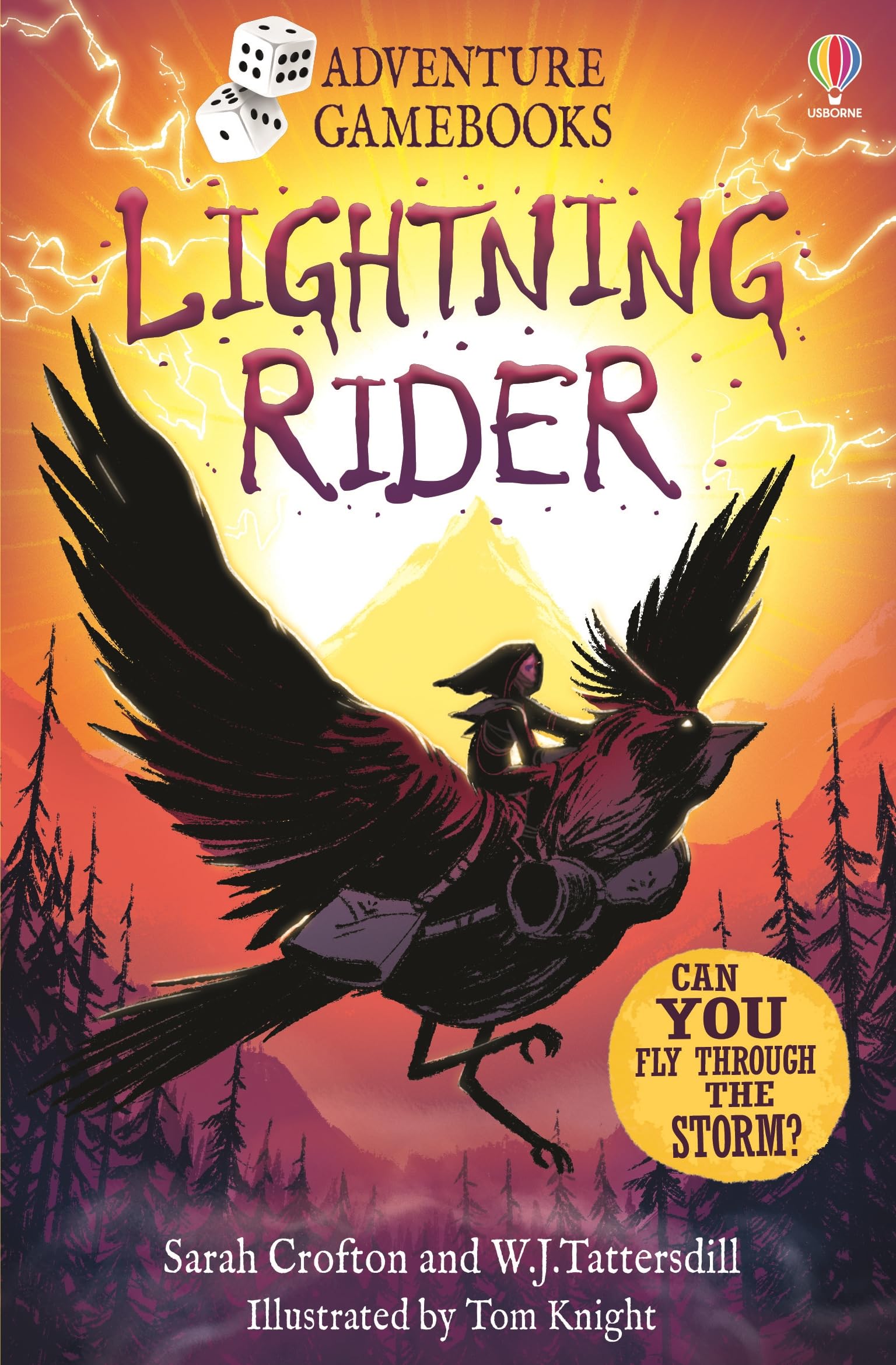 Lightning Rider: An Interactive Adventure Gamebook Featuring Monsters, Puzzles, and Dice Based Combat (Adventure Gamebooks)