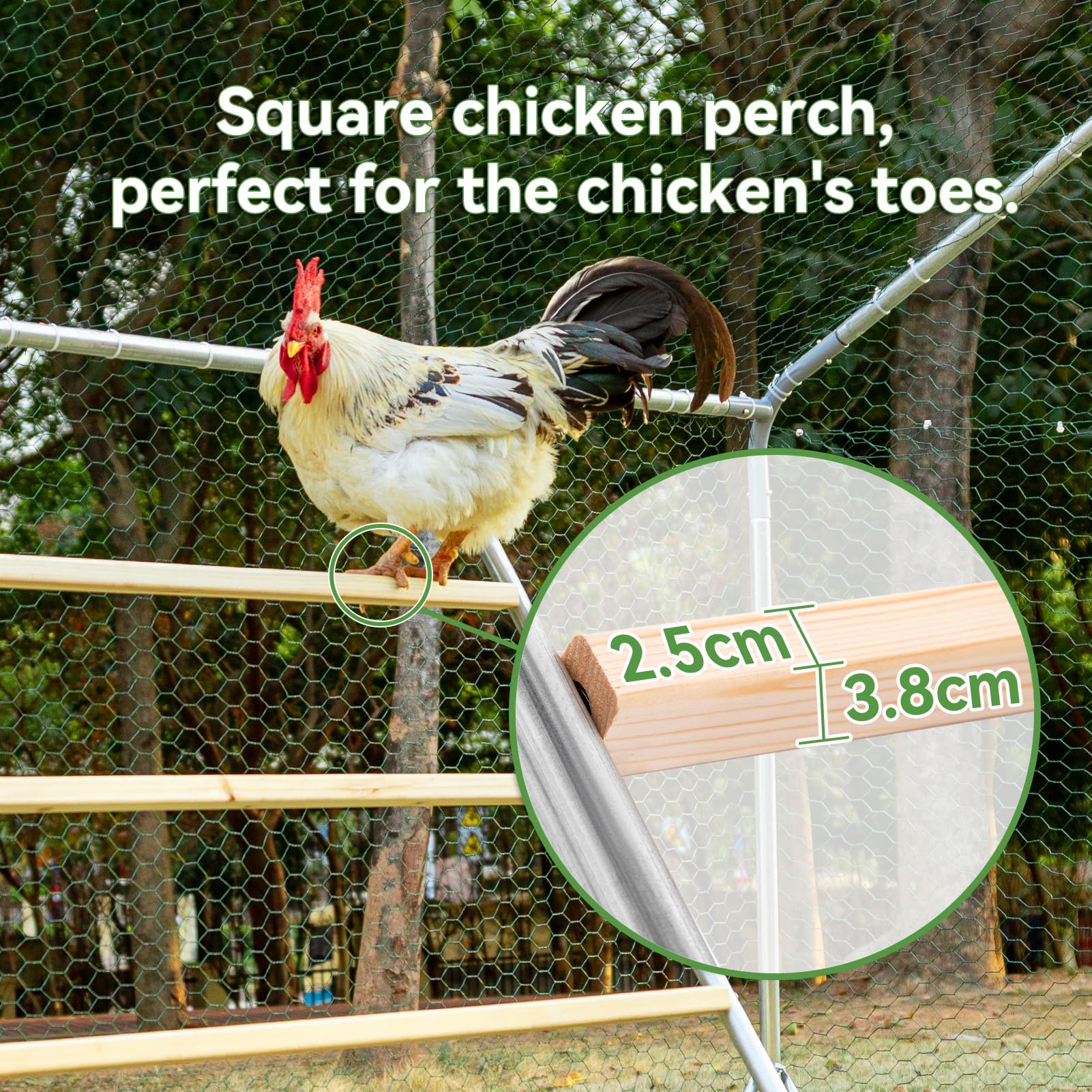 Petsfit Perchoir Carré de Poulet 140 cm L x 100 cm l pour Volaille de Basse-Cour, Poulailler