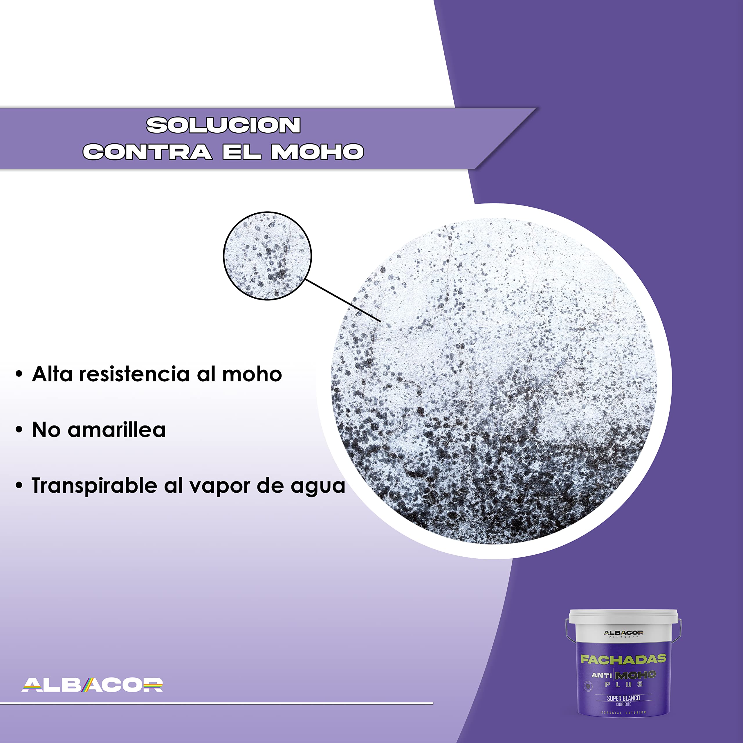 ALBACOR Pintura Blanca Exterior Pintura Fachada Antimoho Plus, Con Protección al Moho y Verdín, Alta Resistencia al Exterior, Impermeable, Revestimiento de Larga Duración (5 Kilos)