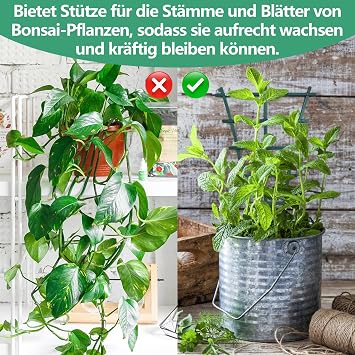 12 Stück Rankhilfe Zimmerpflanzen Rankhilfe Pflanzenstütze