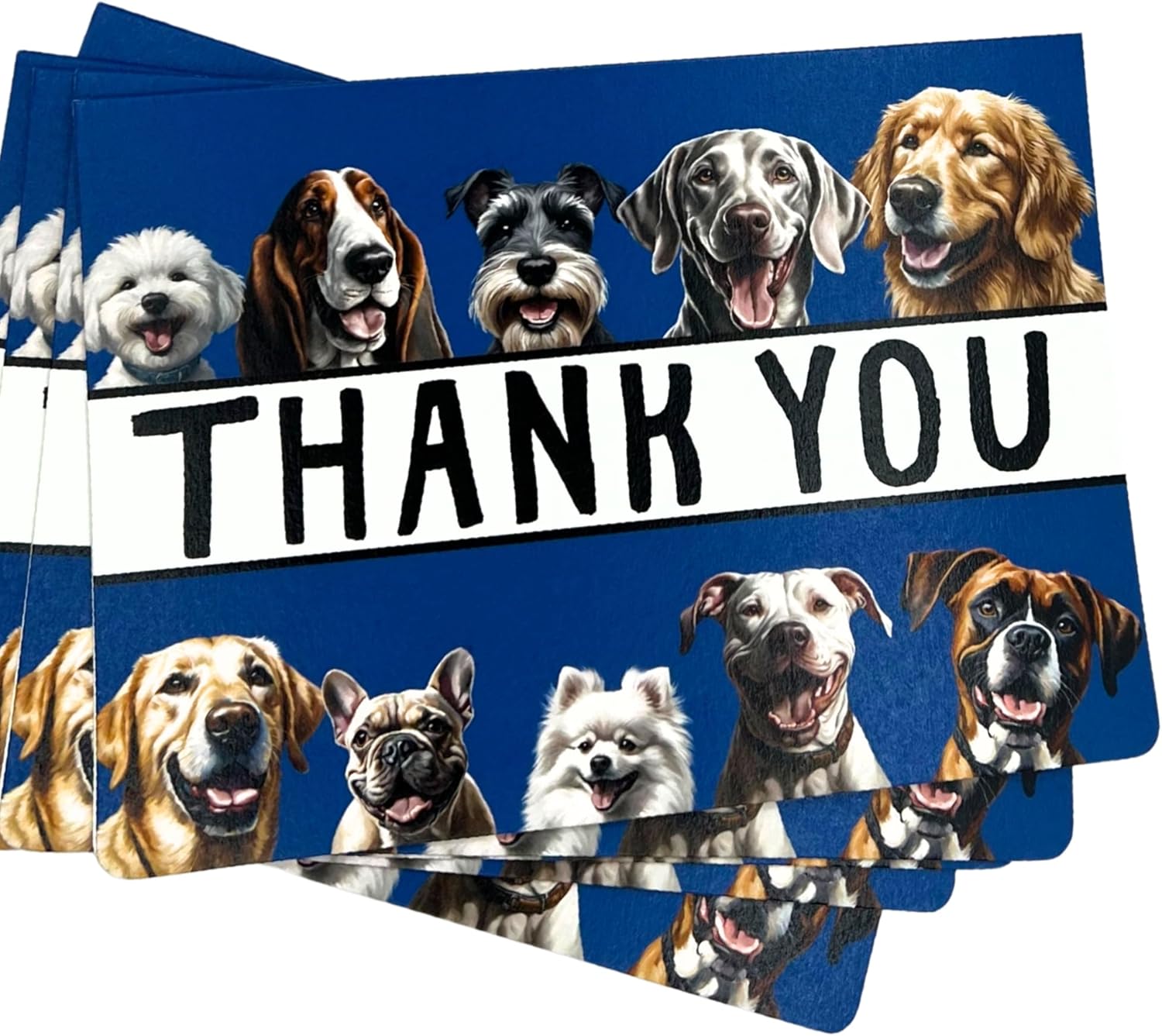 Whitman and Daughter 10 Pack of Dog Thank You Cards with Kraft Envelopes, 5x7 Inch Cardstock, Blank Inside, Rigid Mailer Protection - Blue Dog Thank You Card for All Occasions - 1203