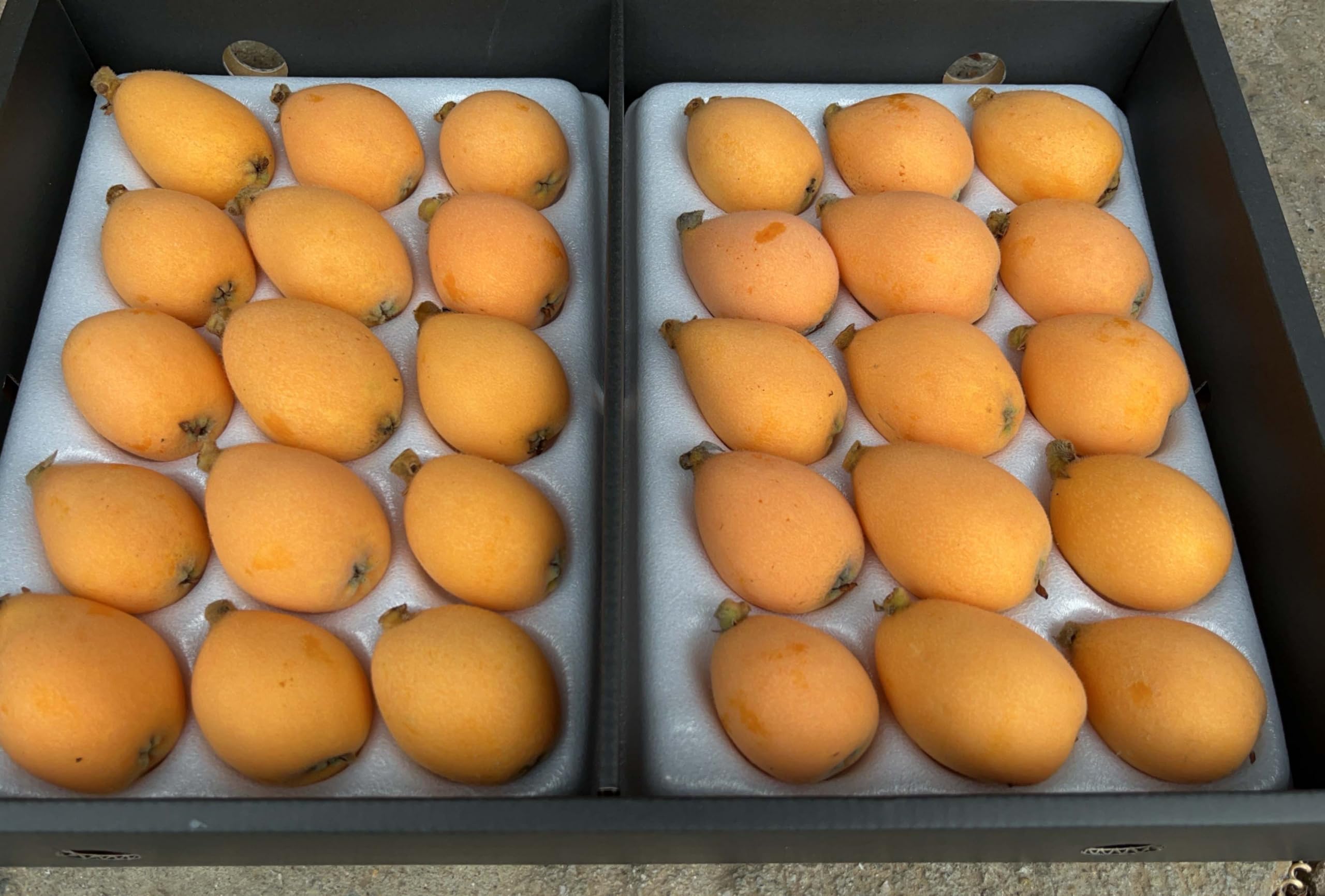 Amazon.co.jp: 減農薬 長崎産 茂木 びわ 約1kg 贈答用 Mサイズ 30玉