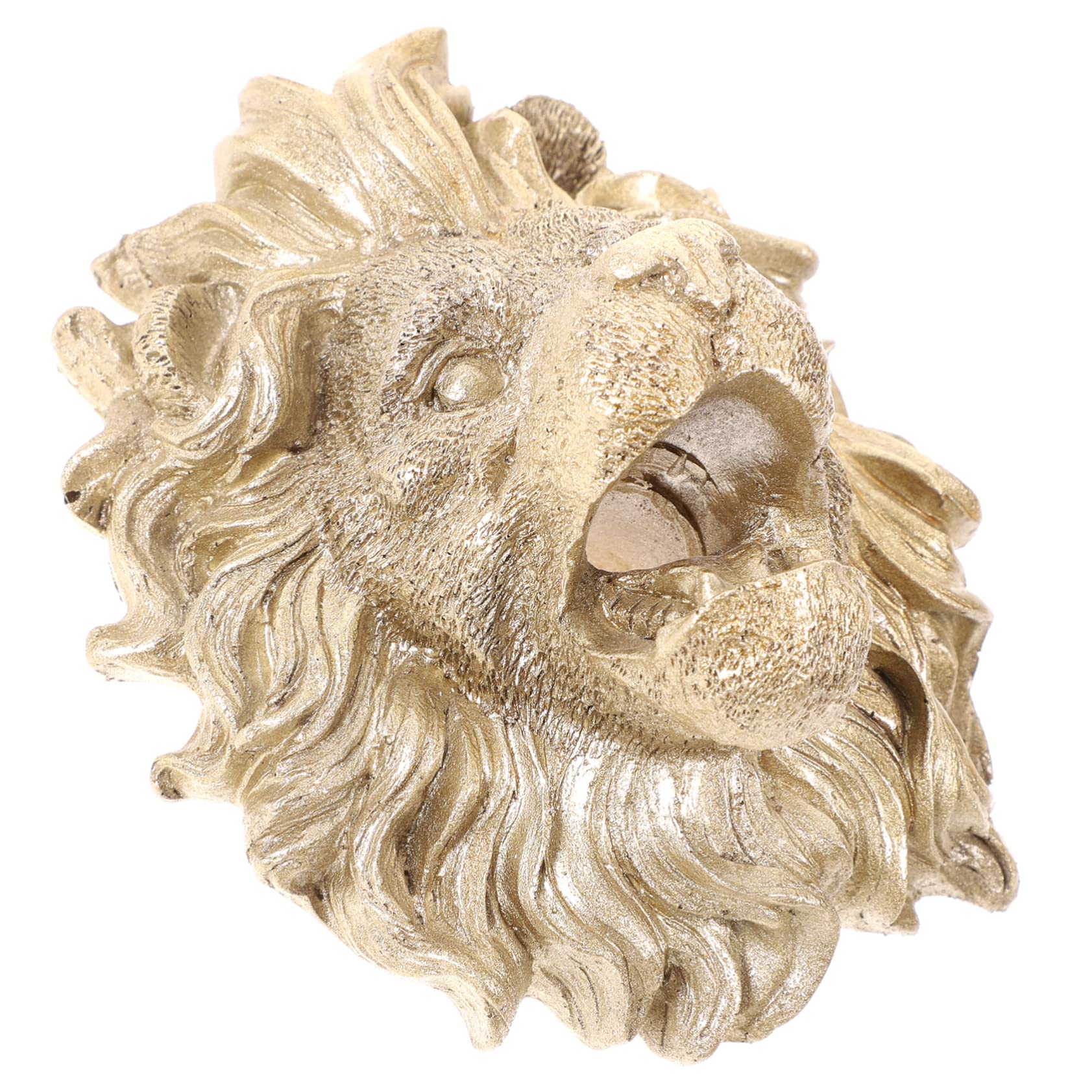 BESTonZON Decorative Fountain Spray Nozzle Lion Head Water Dispenser for Outdoor Garden