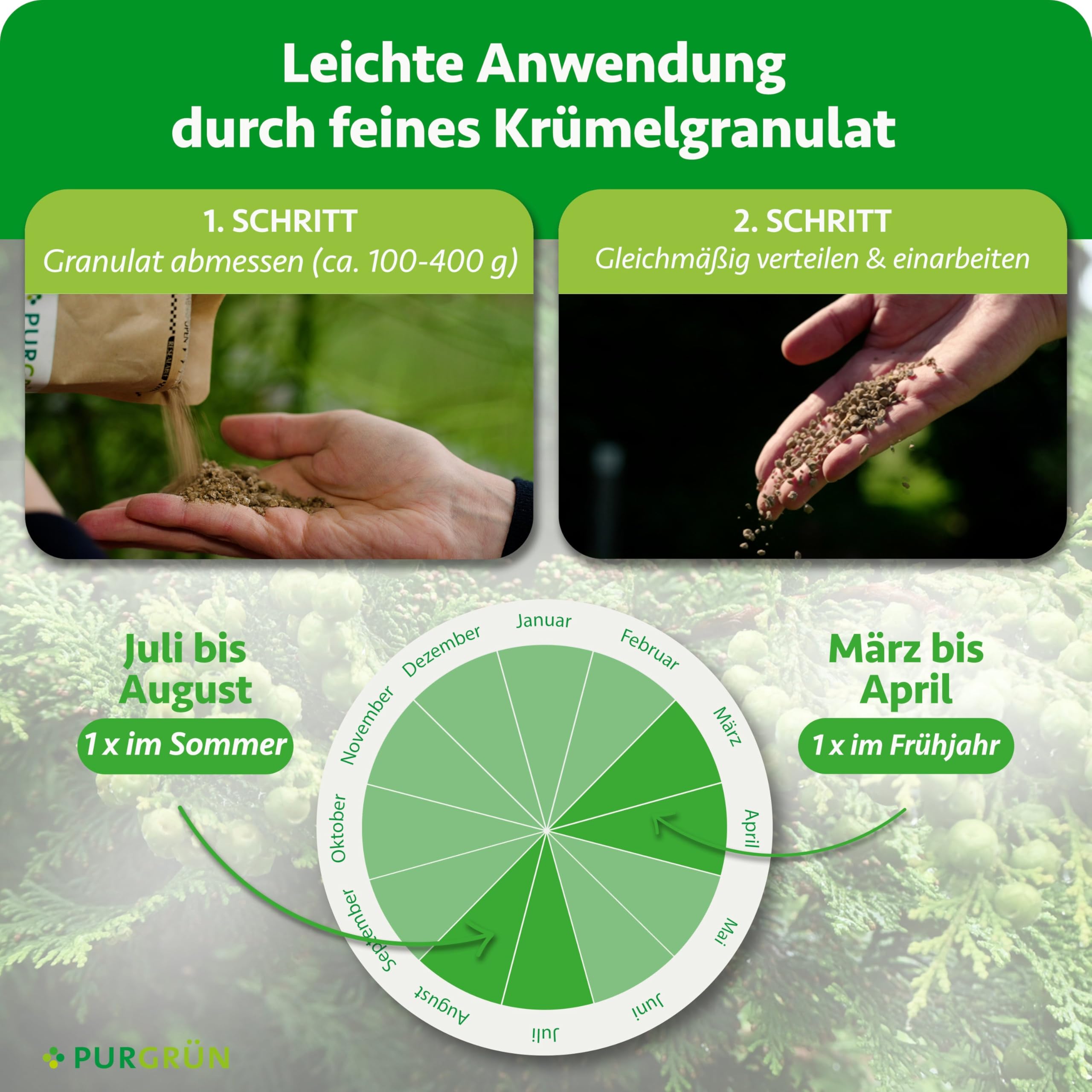 Muschelzypresse-Dünger 1 kg – Organisch-mineralische Rezeptur – Feinkörniges Krümelgranulat – NPK 9+4+8 – Extra Magnesium für leuchtend grüne Nadeln – Verbessert die Bodenqualität
