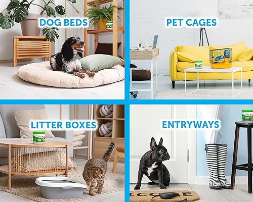 Miniatura 4 de Bright Air - Ambientador y eliminador de olores, 900483, Pet- Cool Aroma cítrico, Paquete de 6, 1