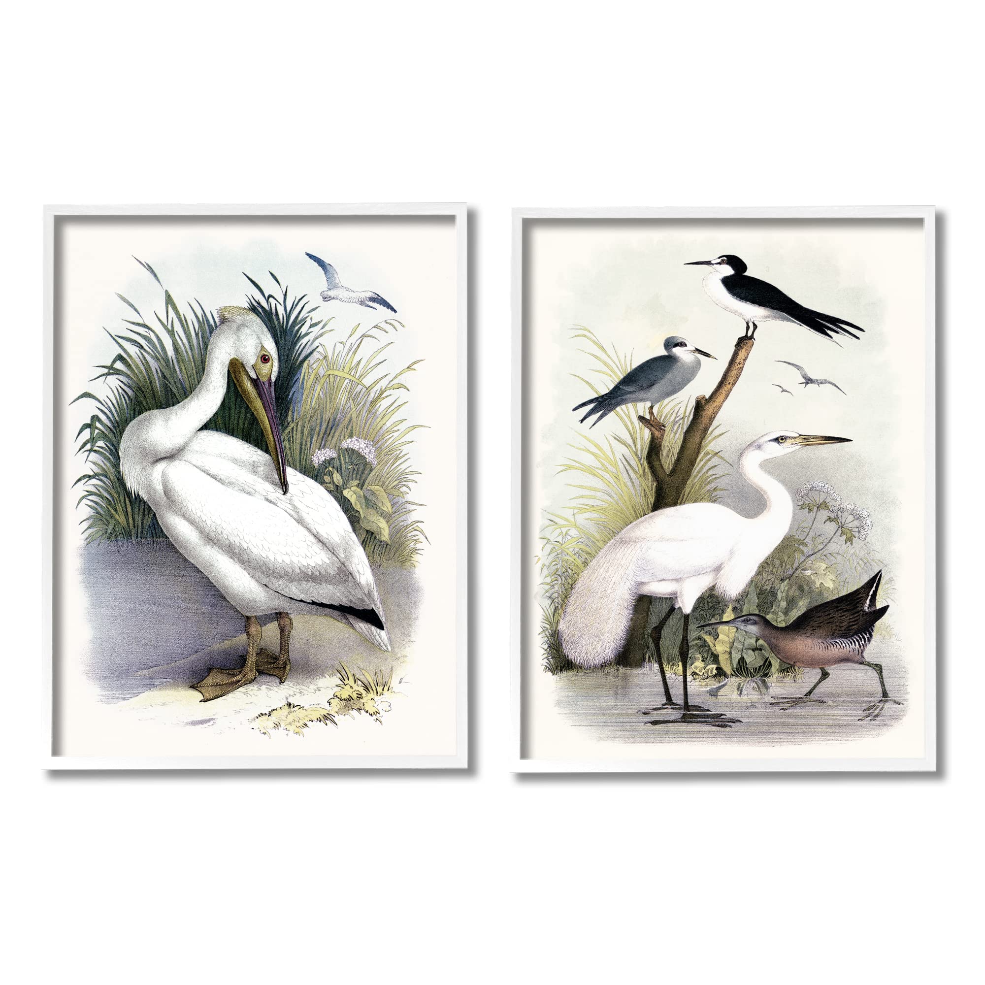 Stupell Industries Wild Pelican Birds Avian Waterside Landscape 2pc set Framed Wall Art, Design by Piddix