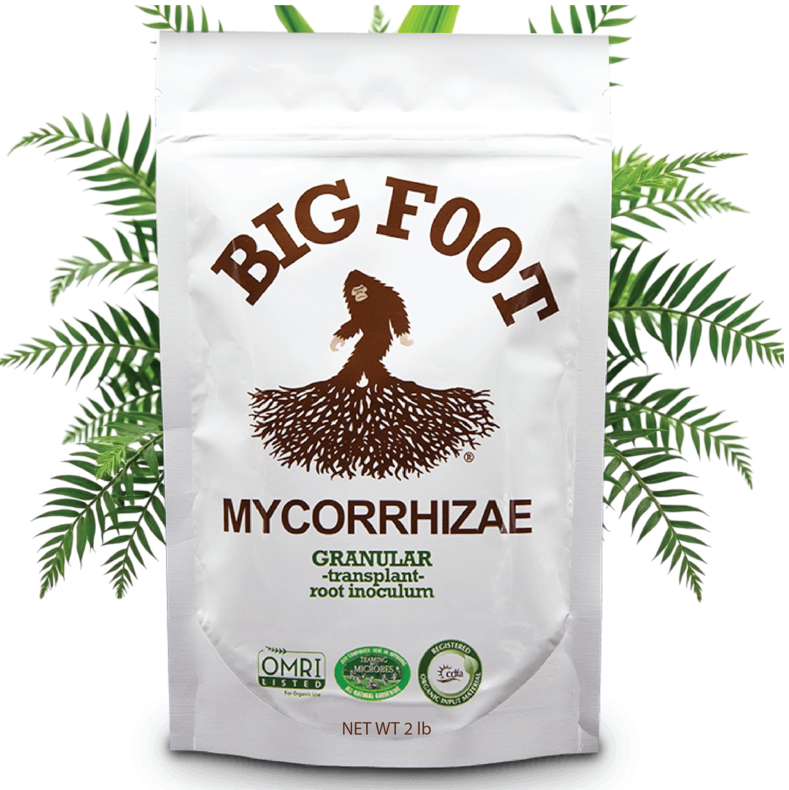 Big Foot Mycorrhizal Fungi Granular for Transplants - for All Plants - Easy to Use Root Stimulator - Treats 240 Plants (60K mycorrhizal Spores) - Double Your Plant Size - 2 Pounds