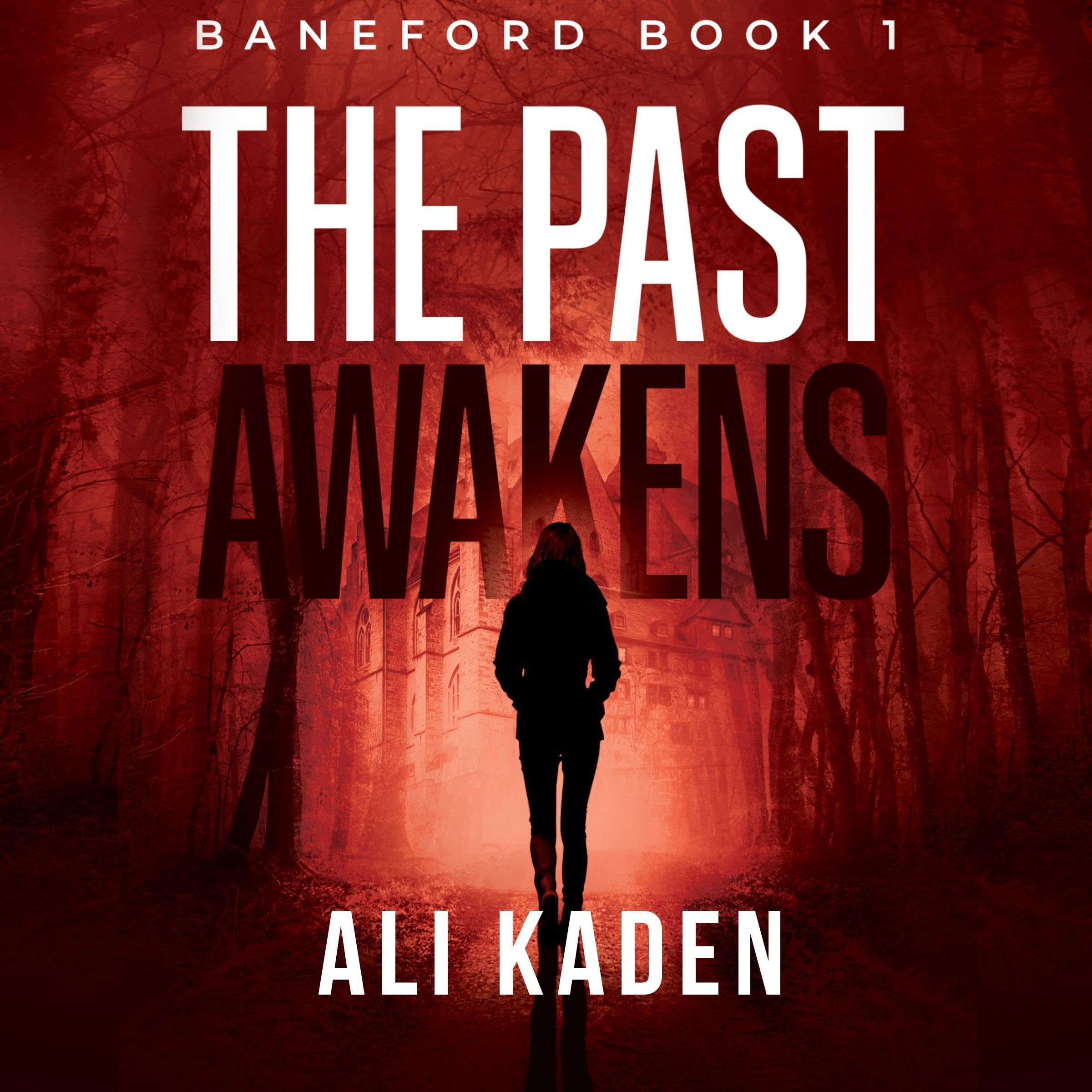 Cover art for The Past Awakens
