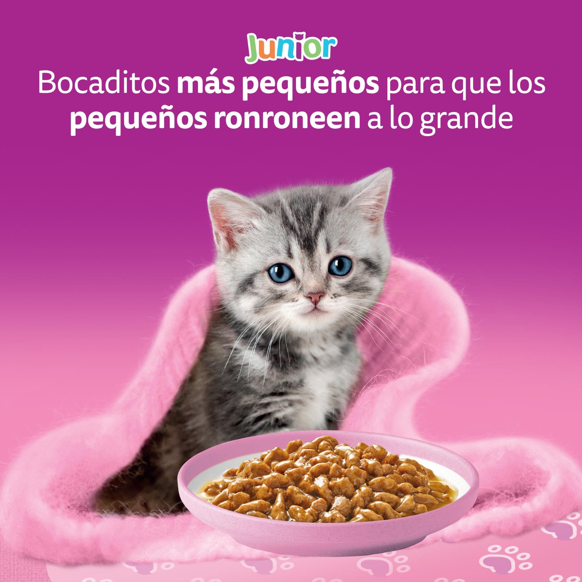 WHISKAS Duo Comida húmeda en Salsa Gatos júnior Comb. clásicas - 13 x 4 bolsitas x 85g
