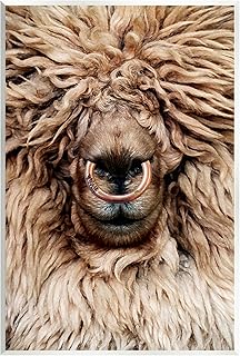 Stupell Industries Long Haired Sheep Portrait Wall Plaque Art Design by Karen Smith