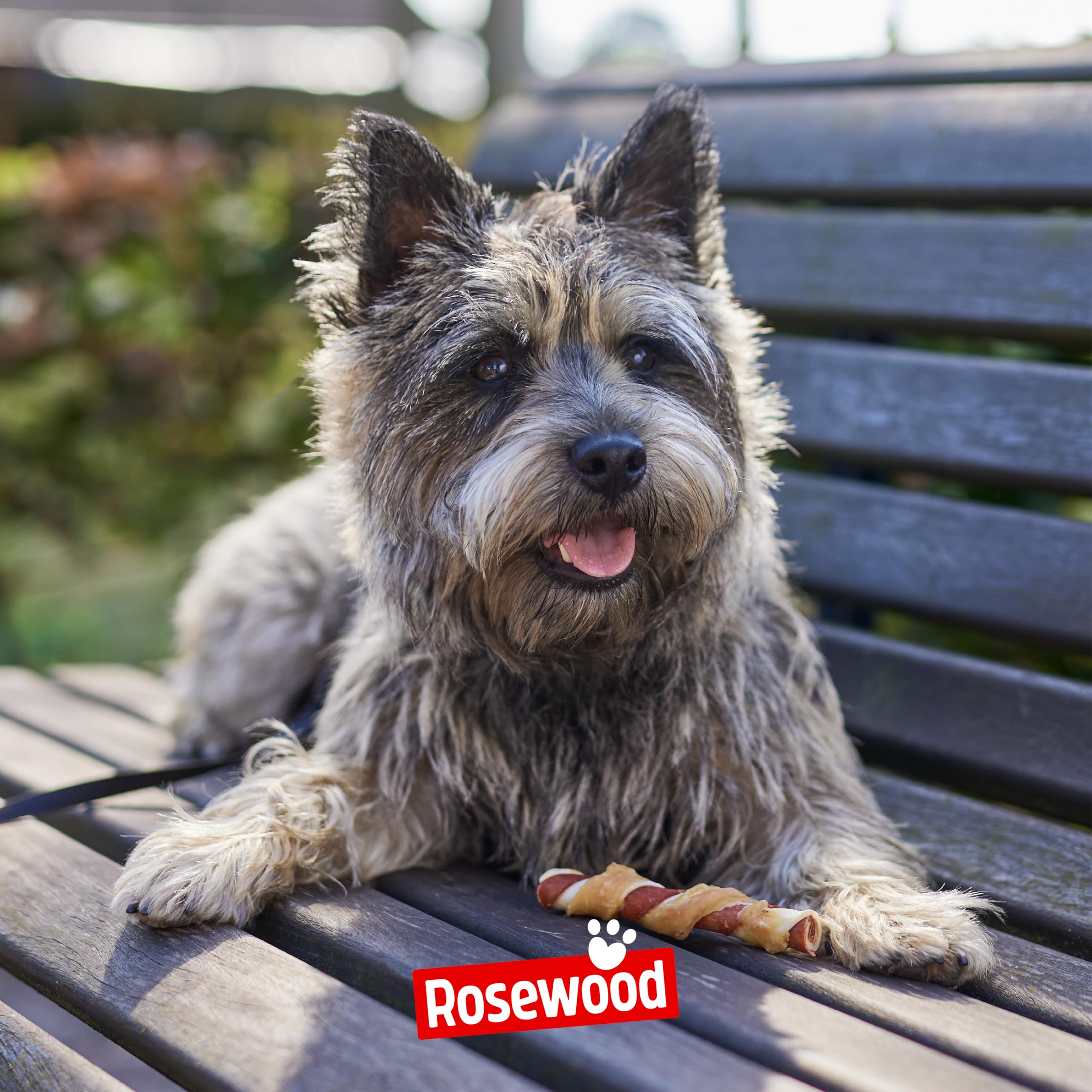 Rosewood Trio Sticks Pollo Petit - Palitos de Masticar firmes para Perros pequeños de Piel de Carne y Pollo, para Cuidado Dental, sin Gluten, Cereales y aditivos Artificiales, Juego de 6 x 100 g