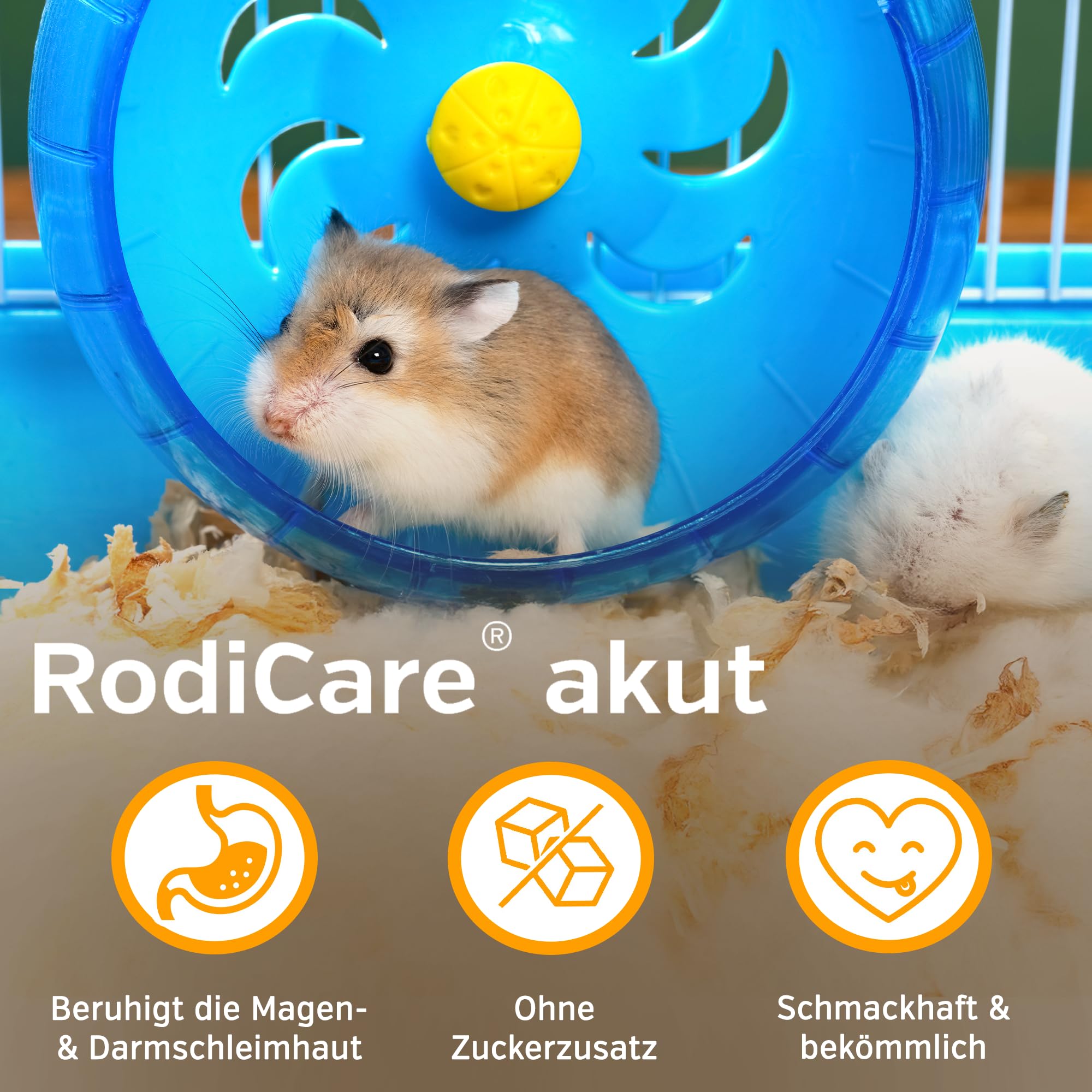 Alfavet RodiCare akut - Doppelpack 2 x 15ml - Ergänzungsfuttermittel zur Regulierung von Verdauungsvorgängen für Kaninchen, Meerschweinchen und Kleinnager