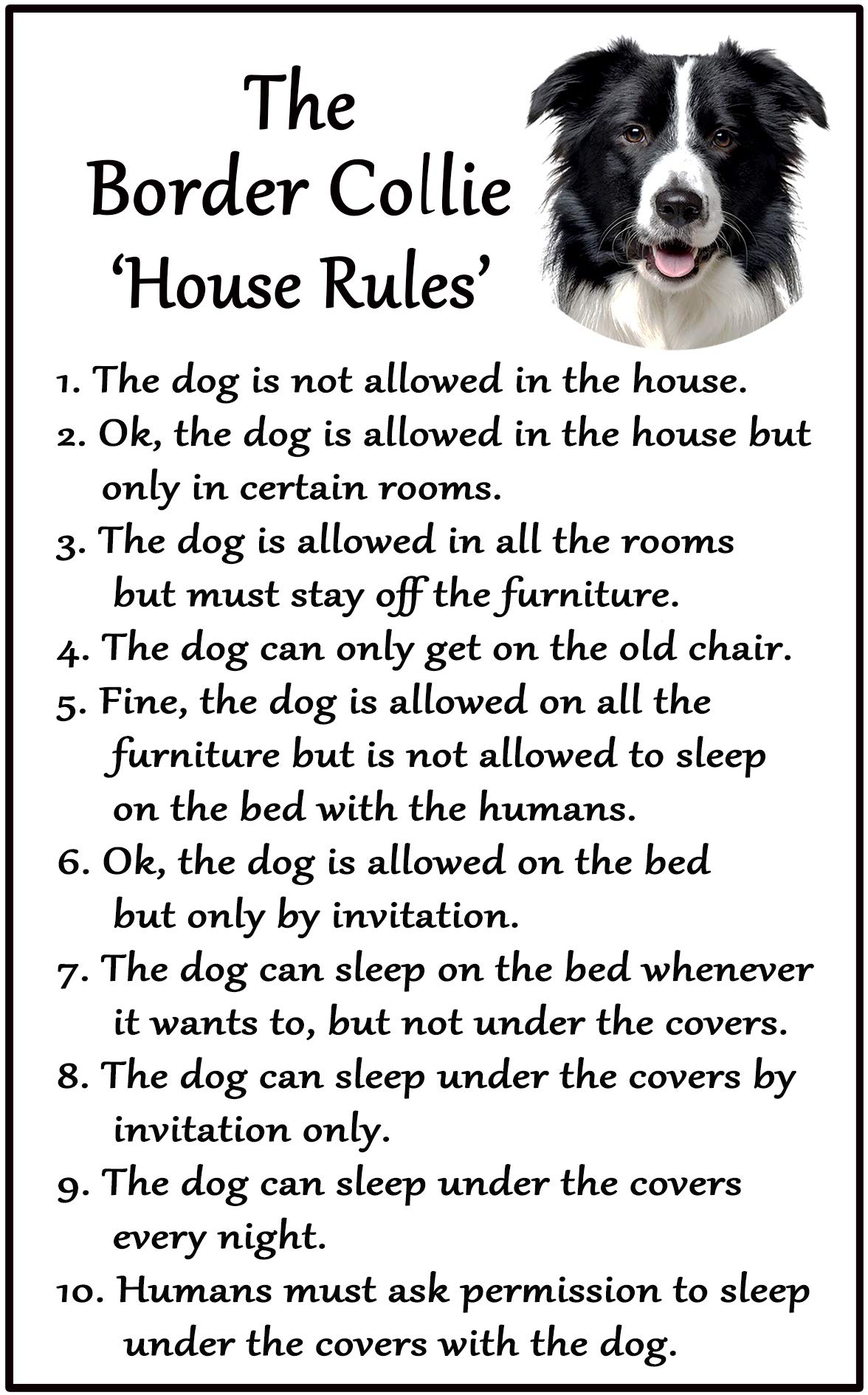 Fridge Magnets Black Border Collie Gift - House Rules - Large Fun Flexible Fridge Magnet- Size 16Cms X 10 Cms (Approx. 6" X4")