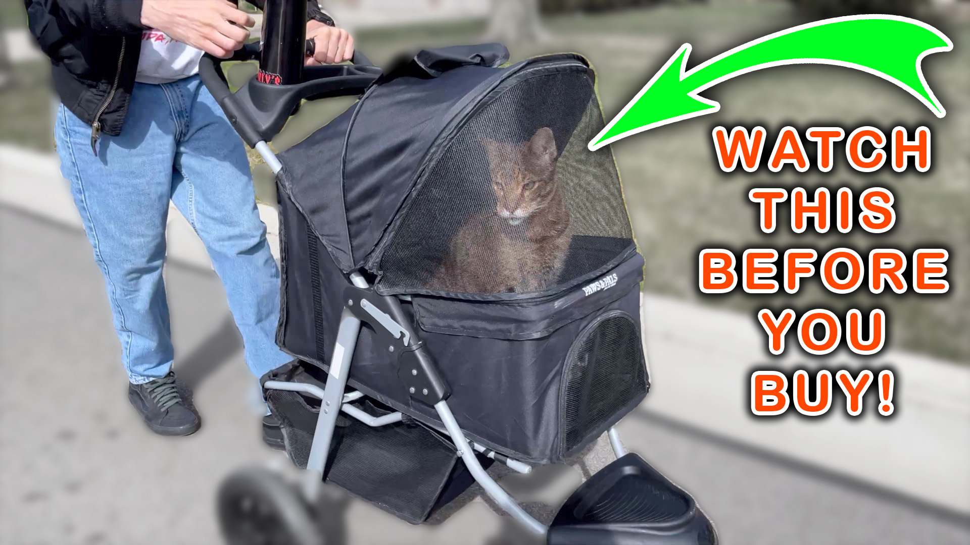 Watch IMPORTANT THINGS To Know Before Buying PAWS & PALS Stroller! on Amazon Live