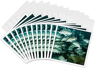 3dRose Greeting Cards - Mahogany Snapper fish, Hol Chan, Belize - SA02 SWS0054 - Stuart Westmorland - 12 Pack - Fish