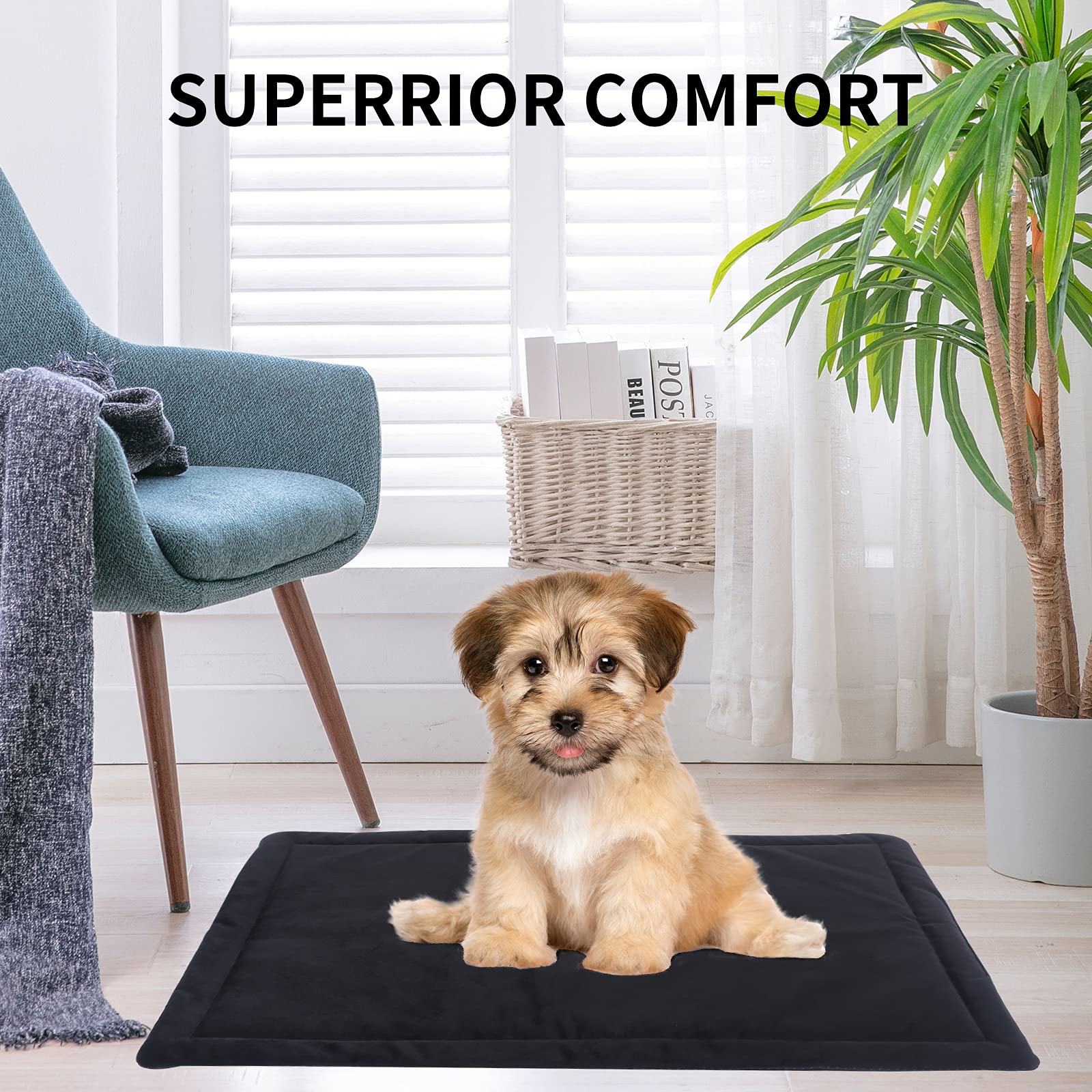 IEUUMLER Lettini per cani, Materassino per animali domestici, Letto di Cane/Gatto divano con cuscino morbido, cuccia per animali domestici antiscivolo FC004 (89 * 58cm, Black)