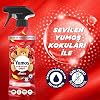 Soft Spray Clothes Spray for Hard-to-Wash Items Amber 450 ml
