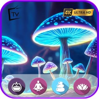 Enchanted Woods: Soft Fantasy Music & Serene Ambience for Sleep, Healing, and Dreamy Escapes For Tablets & Fire TV - NO ADS