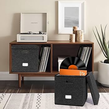 Amazon.com: Sturdy Vinyl Record Storage Box - Album Storage
