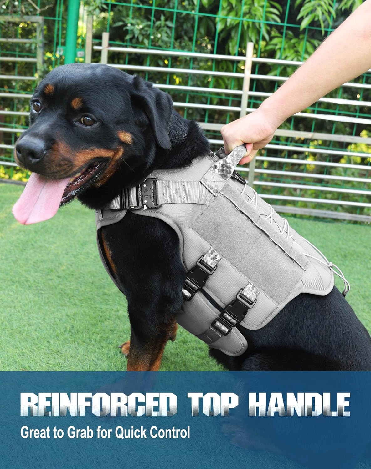 PETNANNY Tactical Dog Harness - No Pull Dog Harness for Large Dogs, Heavy Duty Dog MOLLE Vest for Medium Service Dog, Adjustable Vest with Handle, Hook, Loop Panel, Reflective Patches(Gray, L) : Pet Supplies