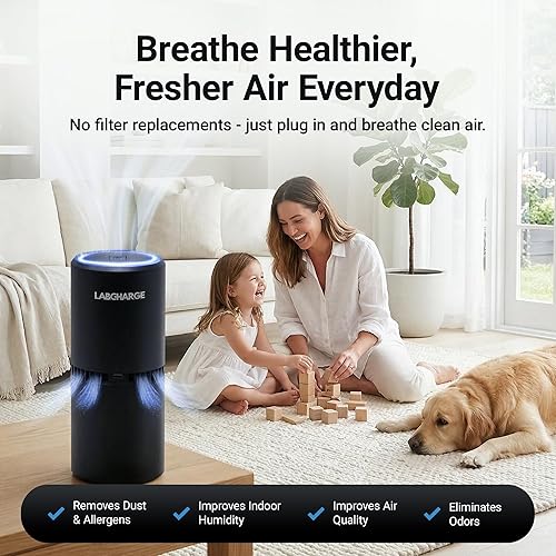 Miniatura 2 de LabCharge - Purificador de aire compacto – Cubre 250 pies cuadrados – Ideal para dormitorio o dormitorio – Filtro HEPA silencioso que captura