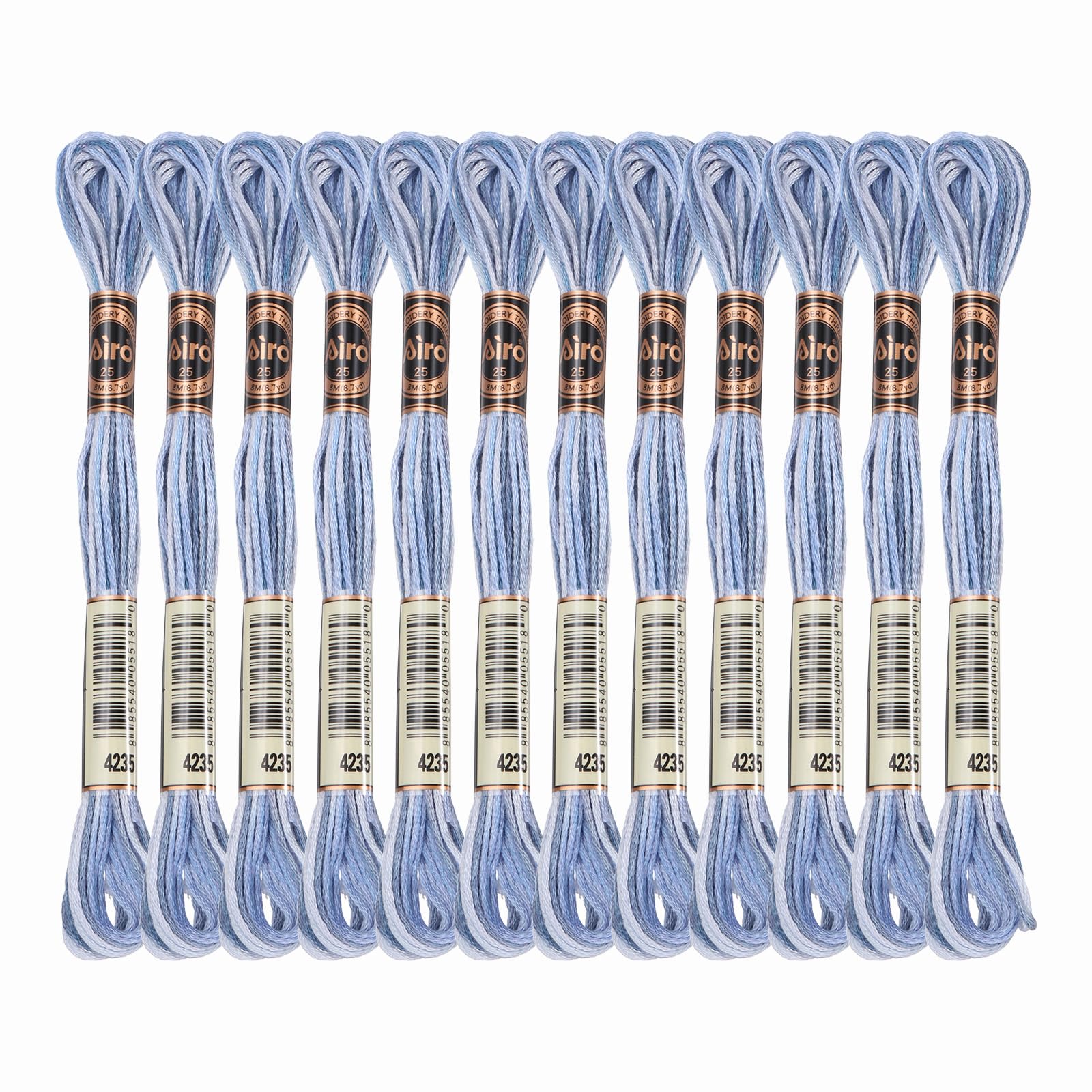 PATIKIL 12 Skeins Embroidery Floss, Polyester Embroidery Threads Bracelets String for Cross-Stitch Hand Embroidery, Blue Purple