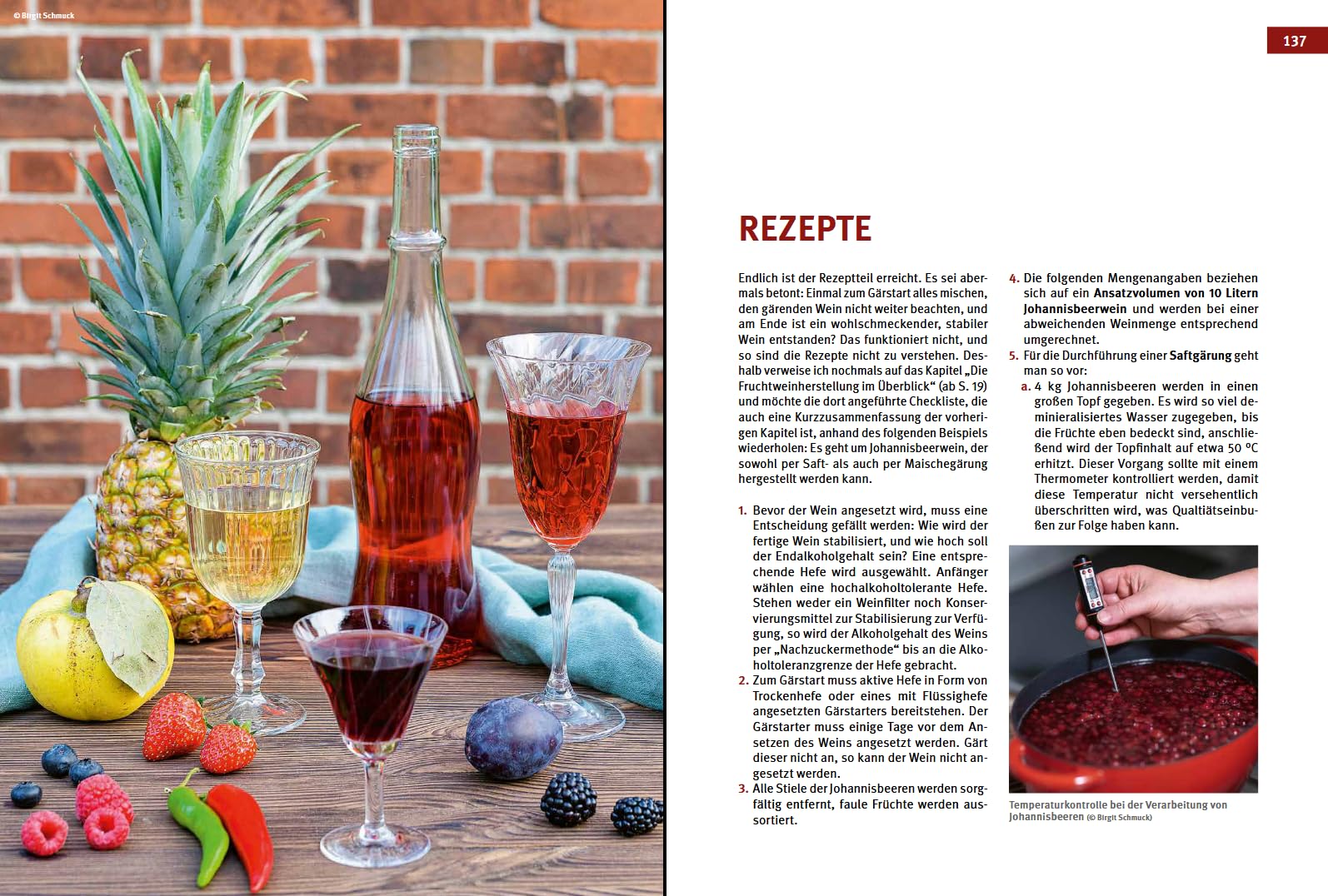 Craft Wine selbst gemacht: Das große Buch der Fruchtweinbereitung