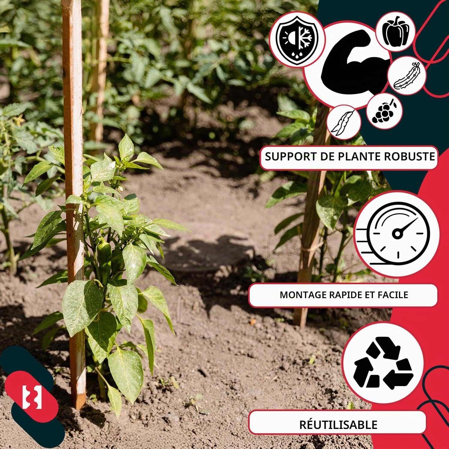 KOTARBAU® 20 Pièces Tuteur Tomate - Bois de Hêtre - 120 cm - Naturel - Tuteur Plante - Piquet de Jardin - Poteau Bois - Piquet Tomate - Support Plante Grimpante