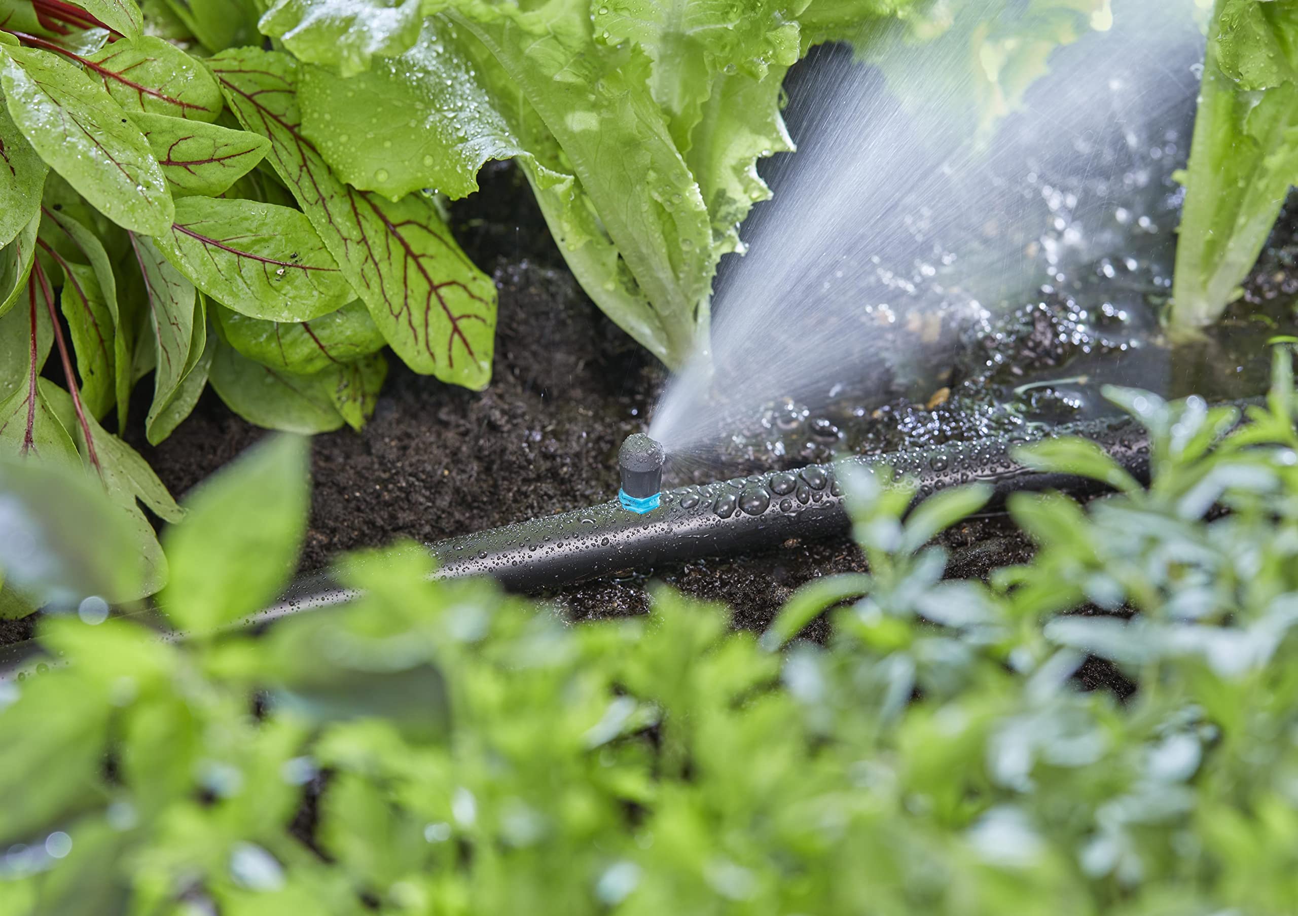 Gardena system Micro-Drip dysza końcowa pasmowa: Dysza rozpylająca do systemu nawadniania, do wąskich podłużnych powierzchni maks. 0,6 x 2,75 m, prosta technika połączeniowa (13318-20)