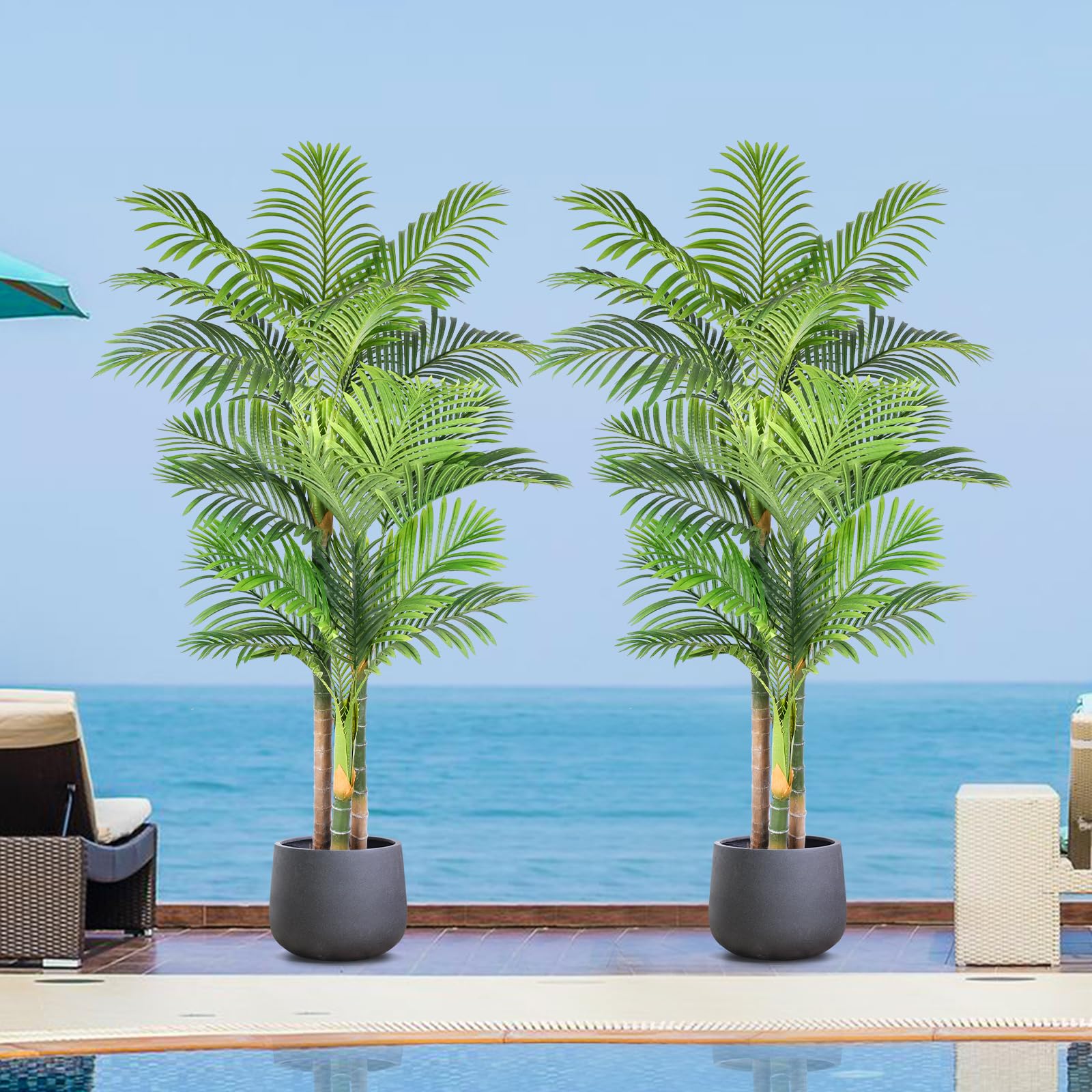 Keeplush Triple Cane Palm 2-Pack