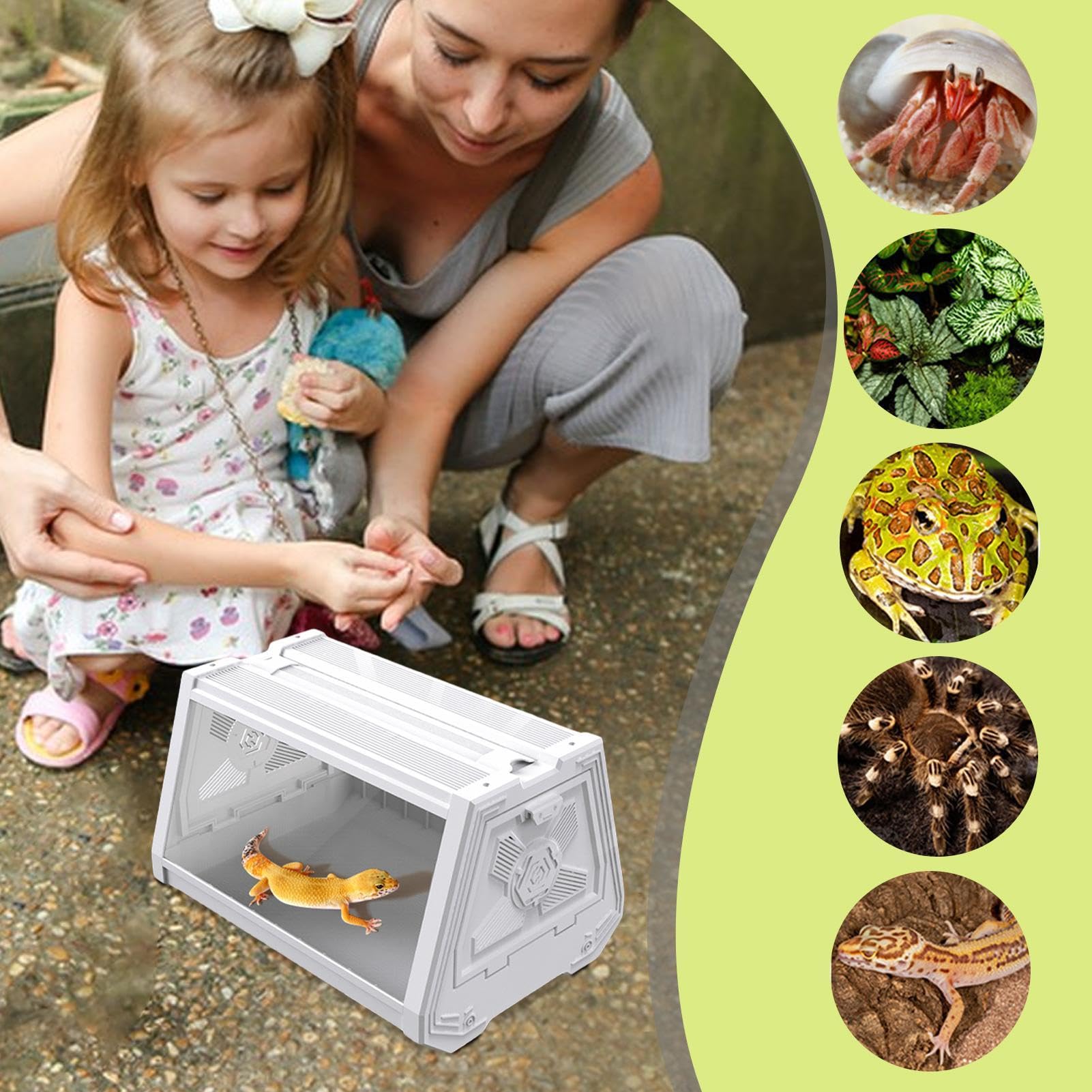 Terrarium dla gadów, terrarium gadów Wielofunkcyjna klatka siedliska dla | Projekt trapezoidalny, rozszerza pole widzenia, terrarium siedliska gadów dla skorpionów, kraby pustelnikowe