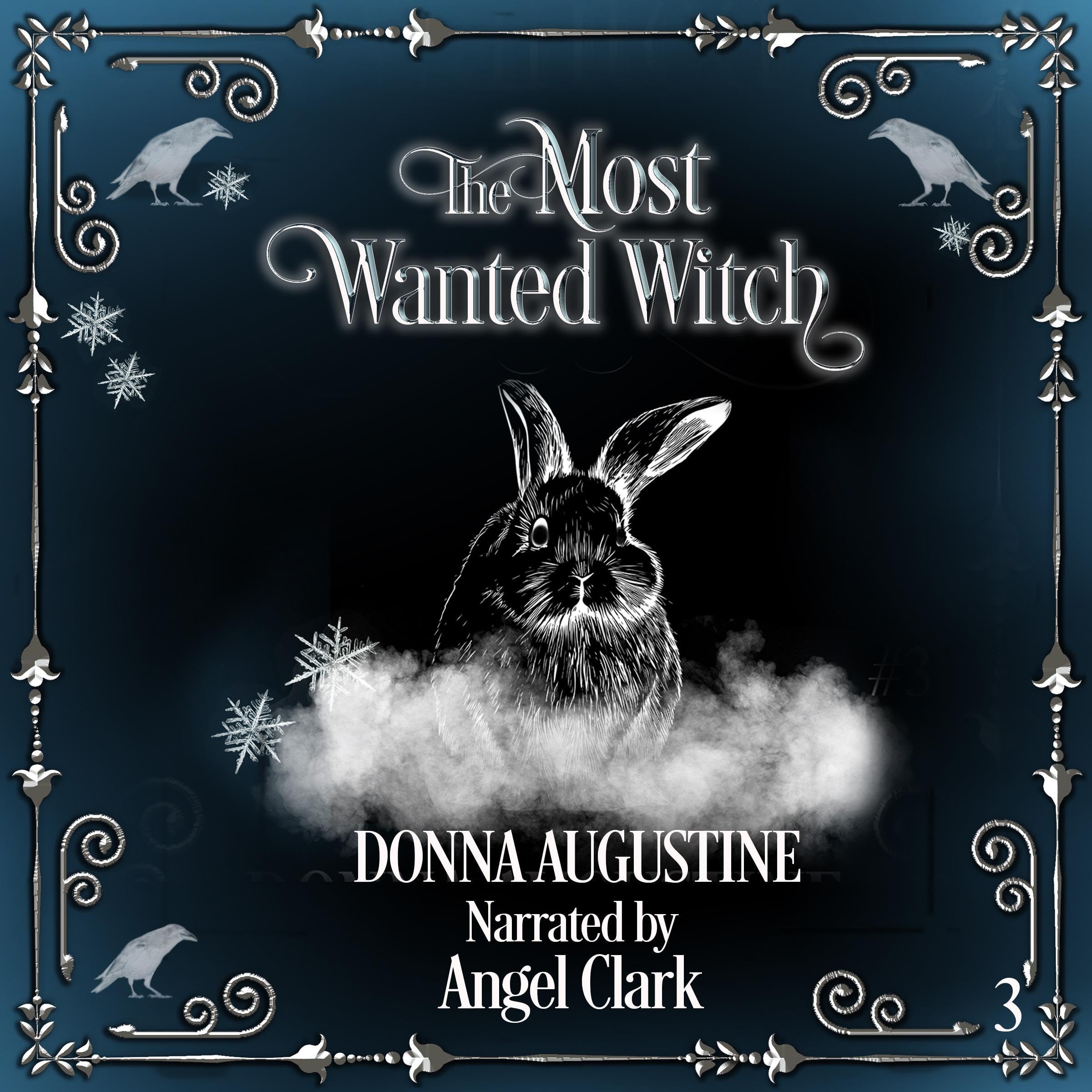 Cover art for The Most Wanted Witch