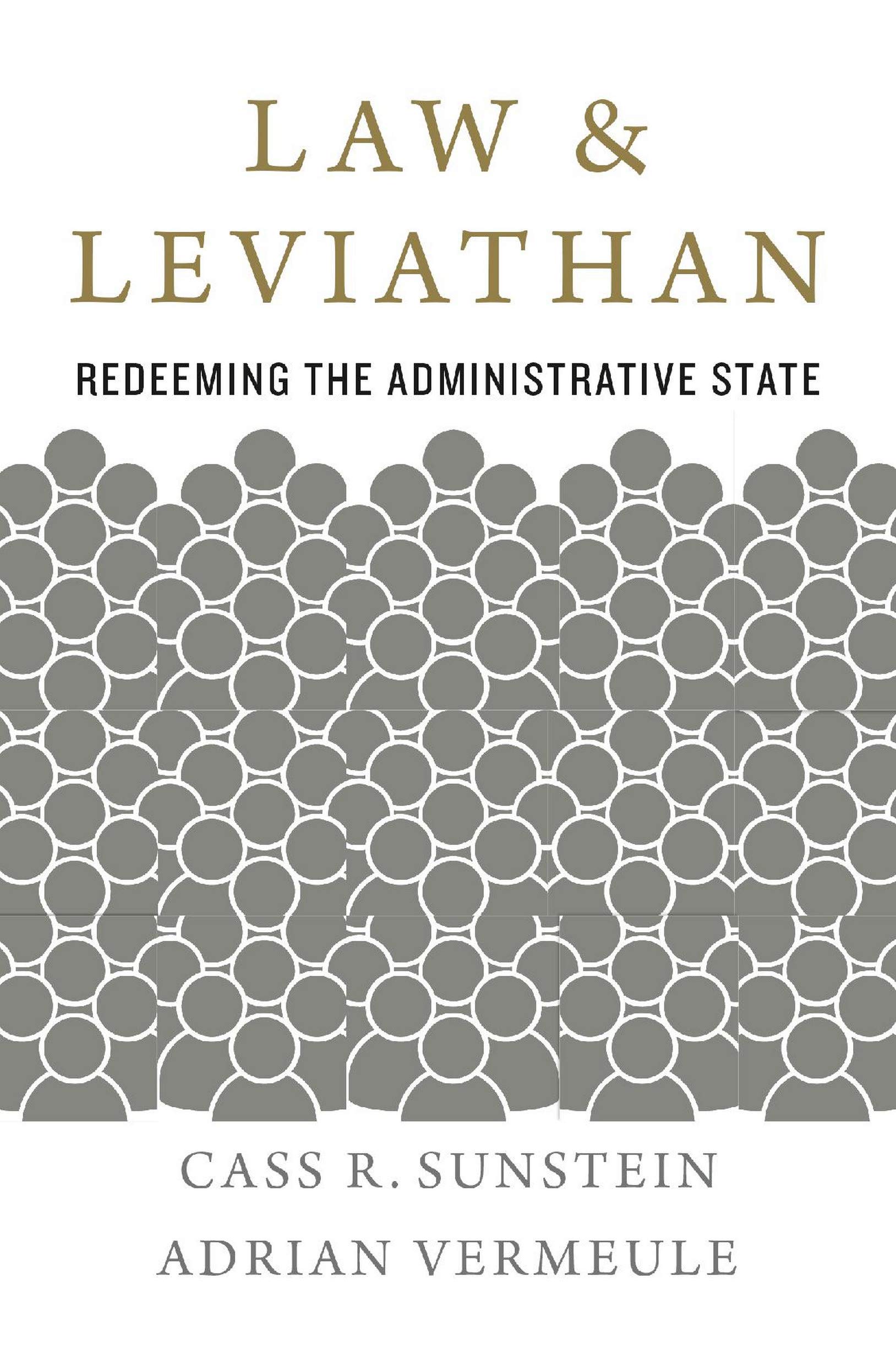 Law and Leviathan: Redeeming the Administrative State