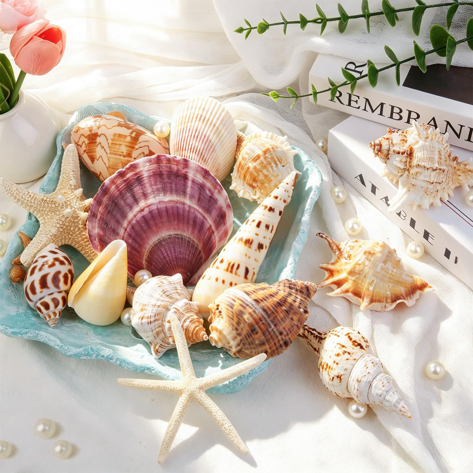 Conchiglie marine per decorare 14 conchiglie grandi a forma di stella marina per feste in spiaggia, riempitivi per vasi, decorazioni per la casa, artigianato fai da te, bagno, decorazioni per acquari
