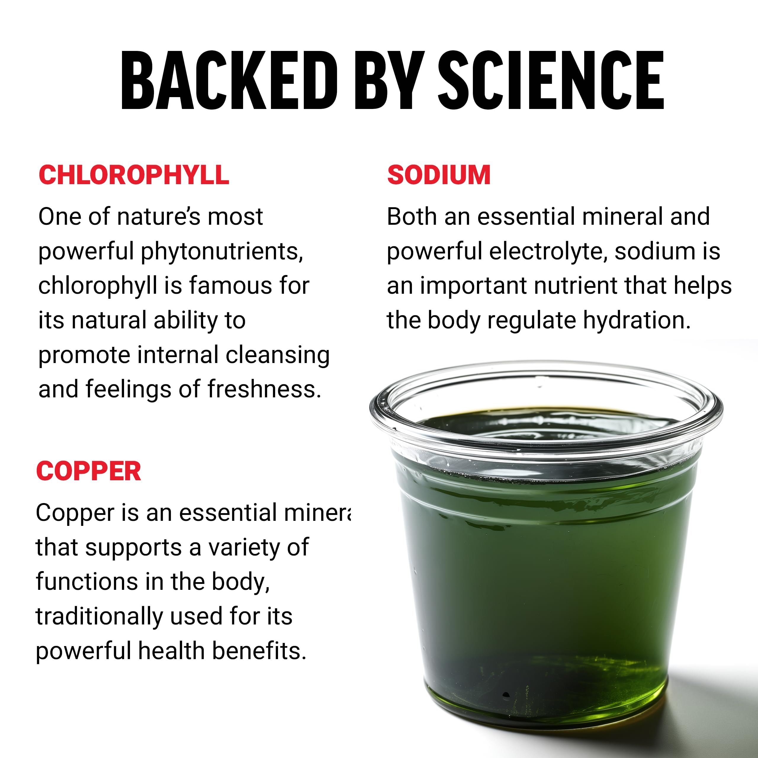 Force Factor Chlorophyll Liquid Body Deodorizing Supplement — Amazon image 3