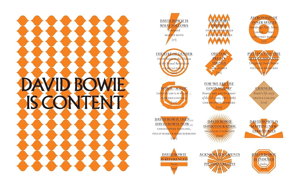 DAVID BOWIES IS INSIDE 大型本 DAVID BOWIES IS INSIDE 大型本 DAVID BOWIES IS INSIDE 大型本