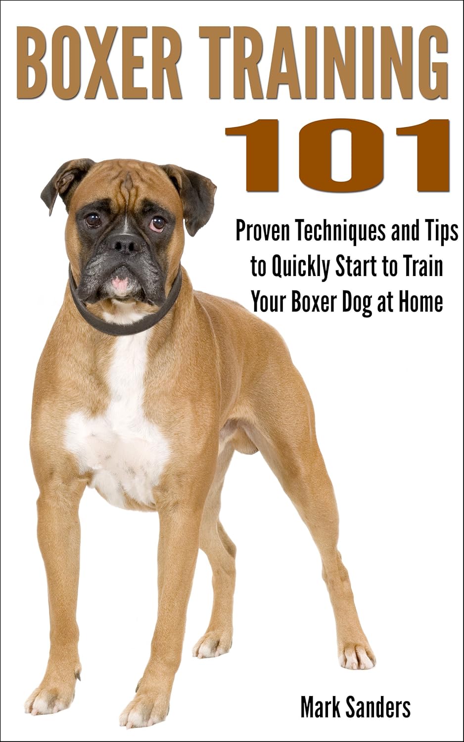 Boxer Training 101 Proven Techniques and Tips to Quickly