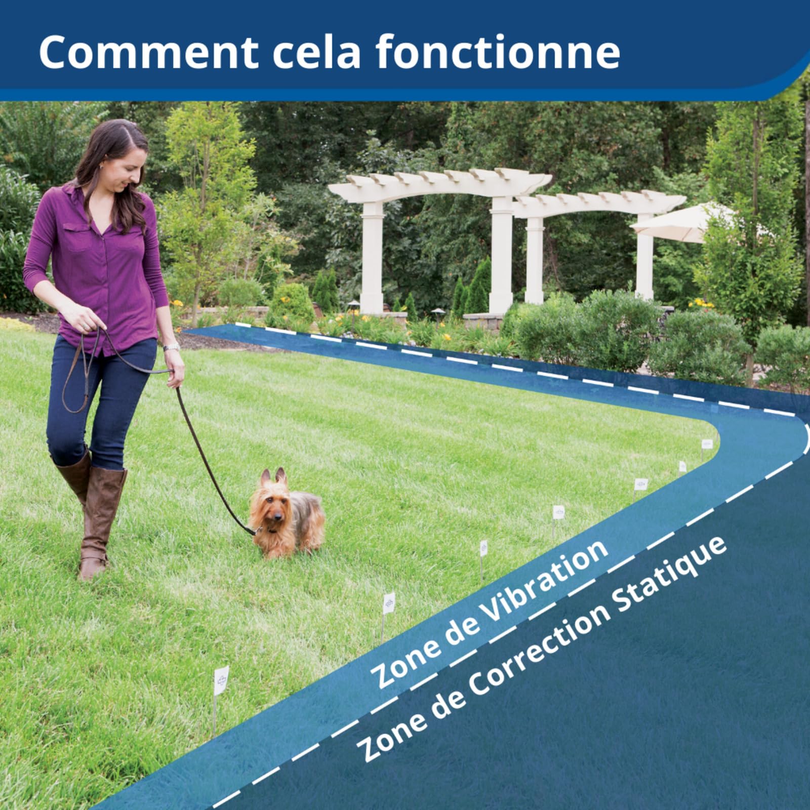 Petsafe - Système De Clôture Anti-Fugue avec Fil pour Chien De Plus 3,6 Kg – 4 Niveaux De Stimulations - Tous Types De Jardin (Jusqu'À 0.13 Hectares) - Imperméable - Facile À Installer