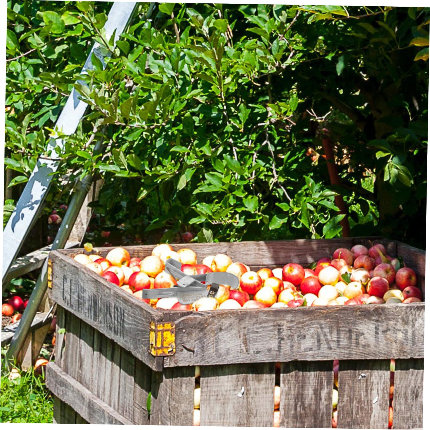 UKCOCO 5pezzi Strumento Rimozione Multifunzionale Per Potatura Attrezzatura Per Giardinaggio Per Cesoie e Resistente e Affilato