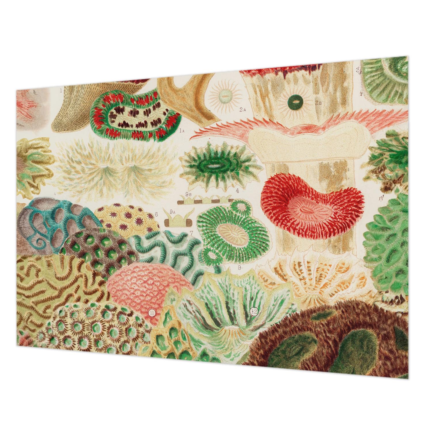 Décoration murale intissé Tulup 208x146 cm pour sublimer votre salon