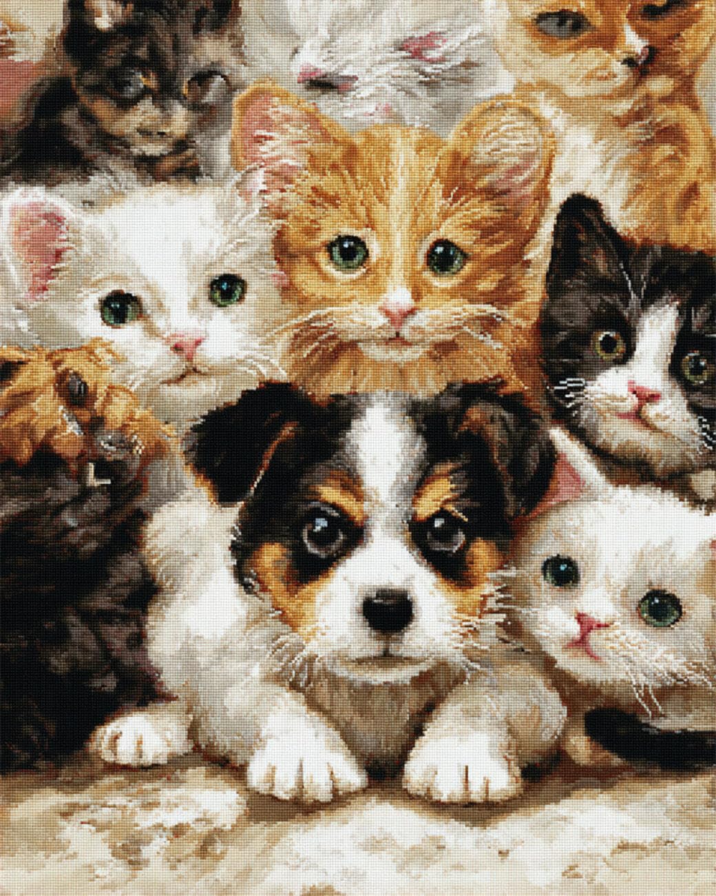 AYAOYANGGO Tier Diy Perlen-Stickset Katzen Und Hunde Bead Embroidery Kit Kreuzstich,Nadelspitze,Handarbeit,Wandteppich-Set,Perlenstickerei-Muster,3D-Stickset 60x80cm