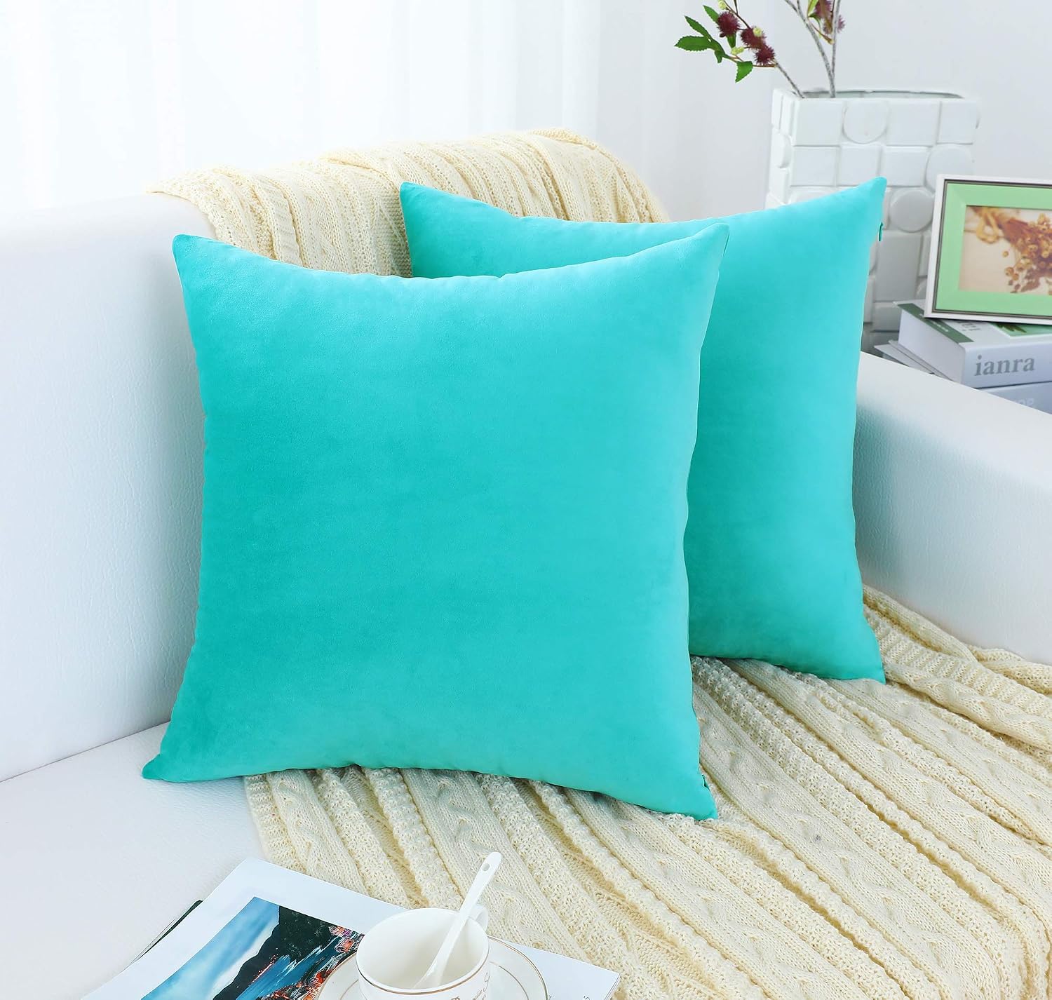 Jeneoo Comfy Soft Thick Velvet Throw Pillow Covers Decorative Solid Square Couch Cushion Cases for Home Bedroom Car Decor (Turquoise, 20 x 20 Inches, 2 Pieces) image 2
