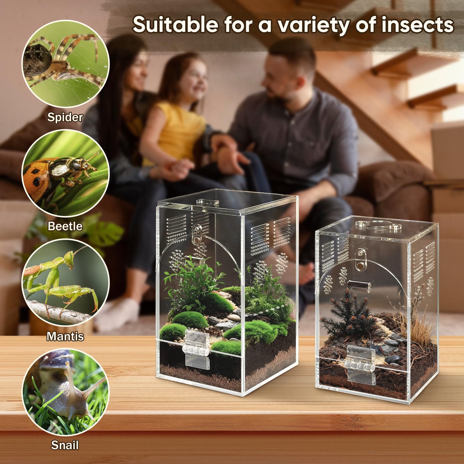 Confezione da 2 habitat per ragni che saltano, recinto per insetti, terrario per insetti, acquario arboreo in acrilico, contenitore trasparente per allevamento con porte magnetiche (kit di 2